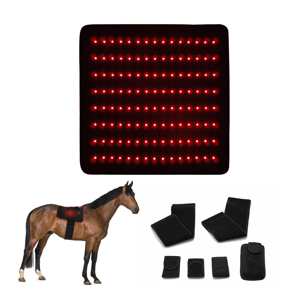 Equine Light Therapy Pads