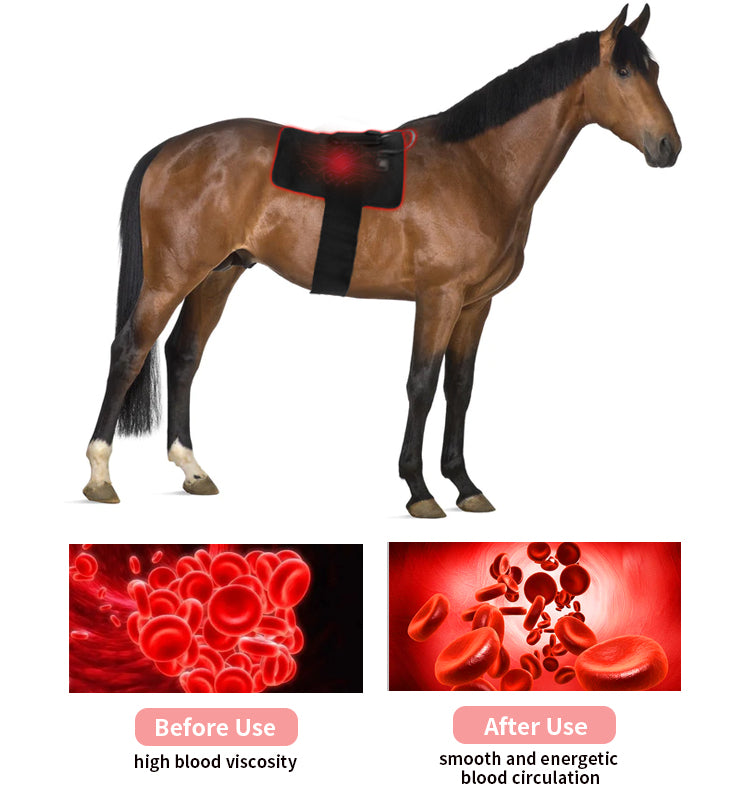 Equine Light Therapy Pads